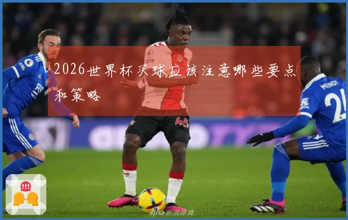 2026世界杯买球应该注意哪些要点和策略