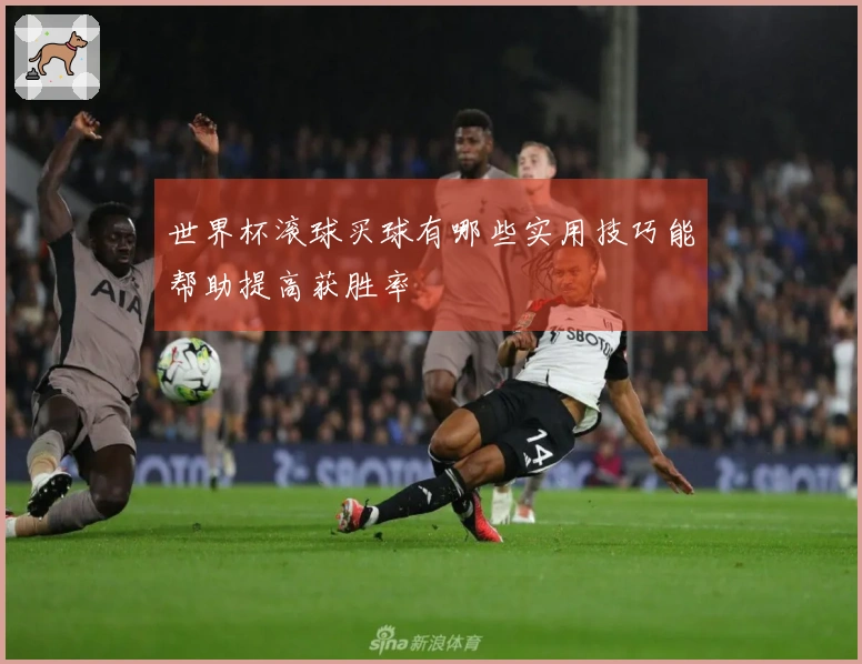 世界杯滚球买球有哪些实用技巧能帮助提高获胜率