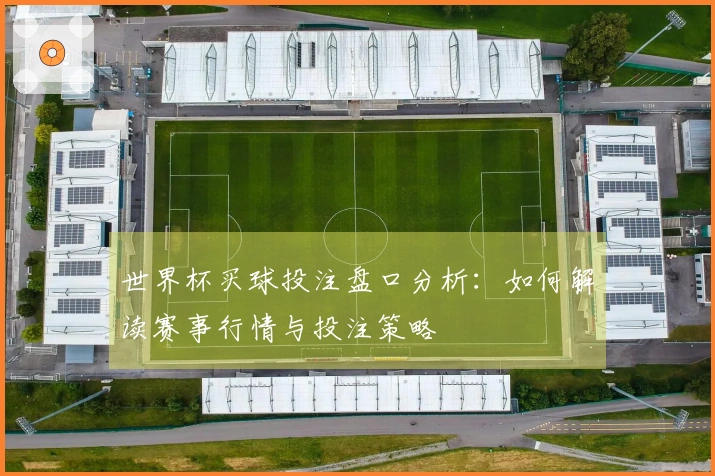 世界杯买球投注盘口分析：如何解读赛事行情与投注策略