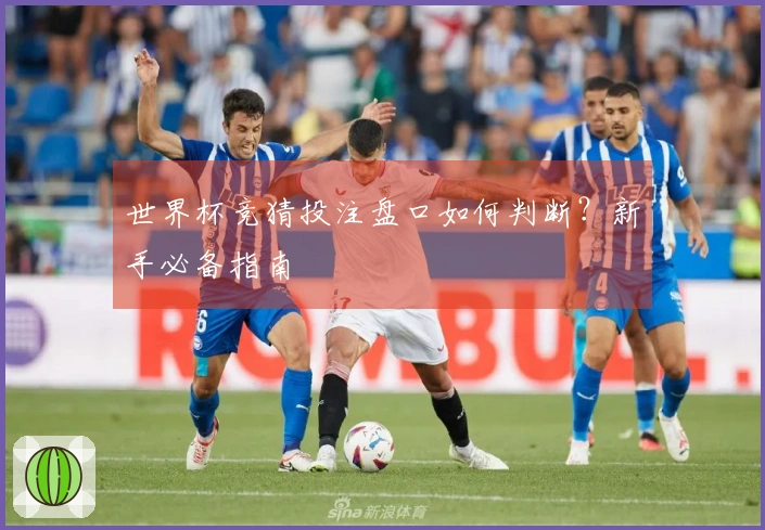 世界杯竞猜投注盘口如何判断？新手必备指南