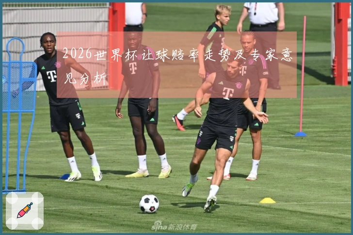 2026世界杯让球赔率走势及专家意见分析