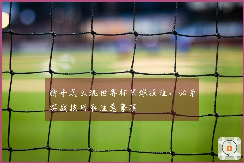 新手怎么玩世界杯买球投注，必看实战技巧和注意事项