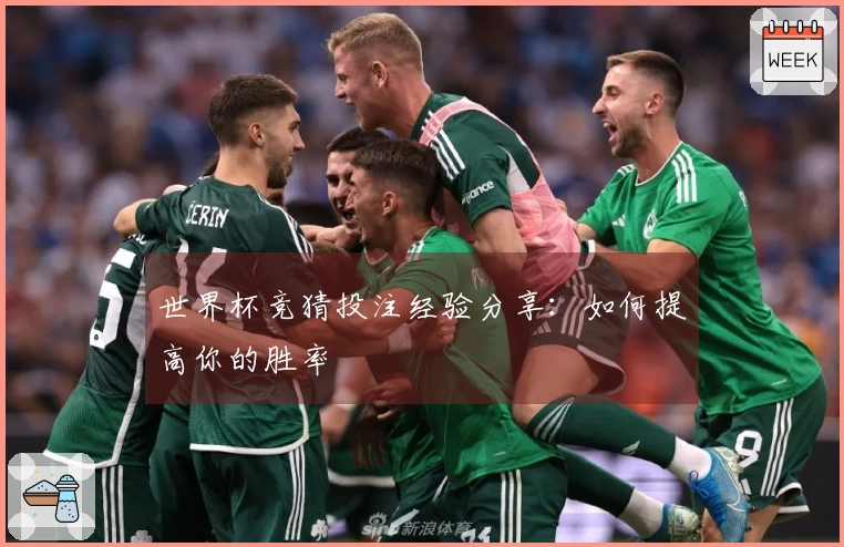 世界杯竞猜投注经验分享：如何提高你的胜率