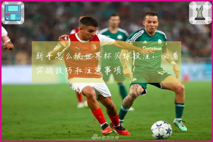 新手怎么玩世界杯买球投注，必看实战技巧和注意事项