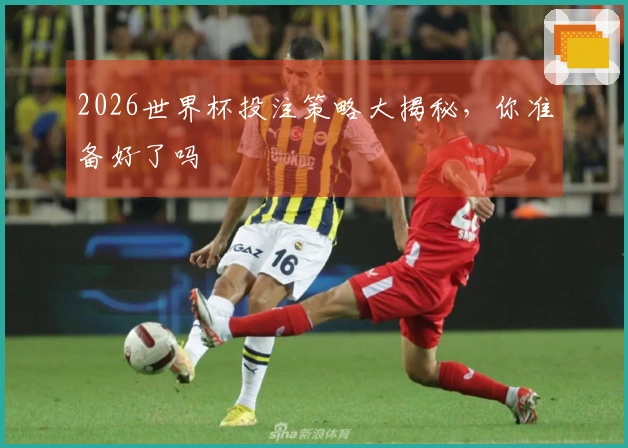 2026世界杯投注策略大揭秘，你准备好了吗
