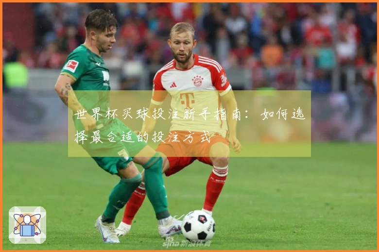 世界杯买球投注新手指南：如何选择最合适的投注方式