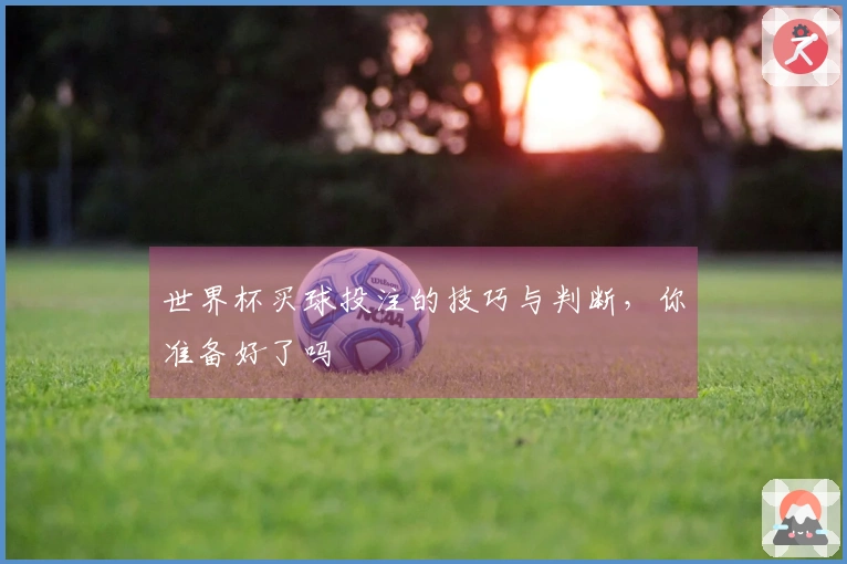 世界杯买球投注的技巧与判断，你准备好了吗