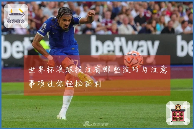 世界杯滚球投注有哪些技巧与注意事项让你轻松获利
