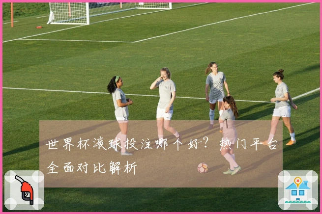 世界杯滚球投注哪个好？热门平台全面对比解析