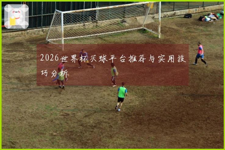 2026世界杯买球平台推荐与实用技巧分析