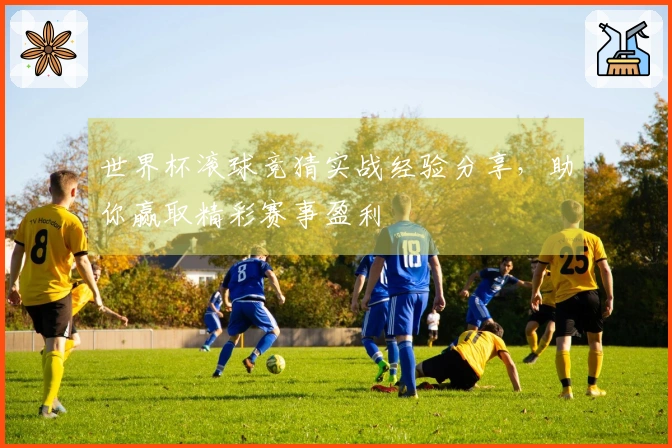 世界杯滚球竞猜实战经验分享，助你赢取精彩赛事盈利
