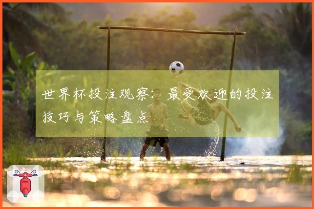 世界杯投注观察：最受欢迎的投注技巧与策略盘点