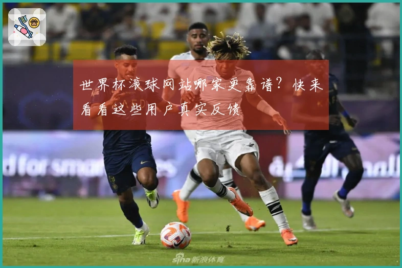 世界杯滚球网站哪家更靠谱？快来看看这些用户真实反馈