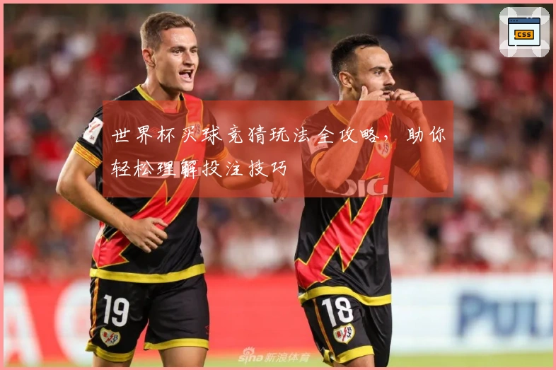 世界杯买球竞猜玩法全攻略，助你轻松理解投注技巧