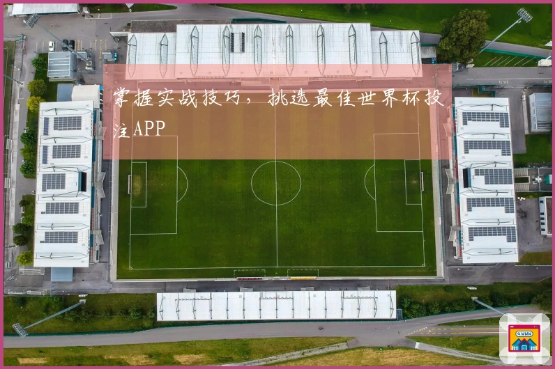 掌握实战技巧，挑选最佳世界杯投注APP