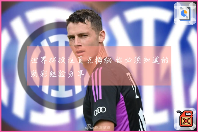 世界杯投注盲点揭秘 你必须知道的购彩经验分享