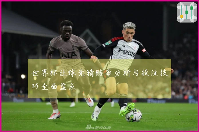 世界杯让球竞猜赔率分析与投注技巧全面盘点