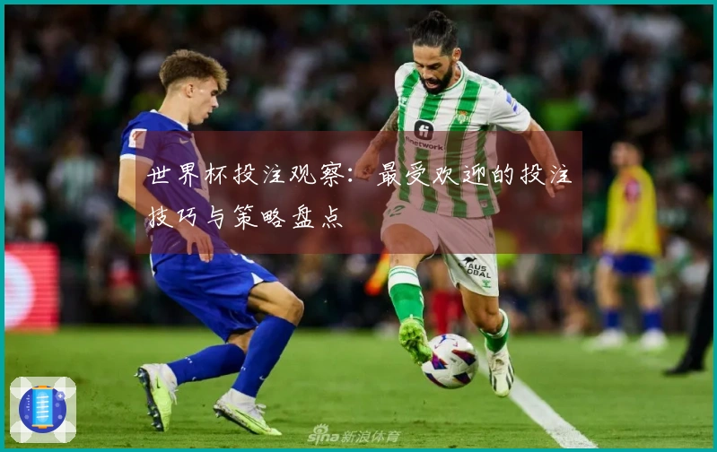 世界杯投注观察：最受欢迎的投注技巧与策略盘点