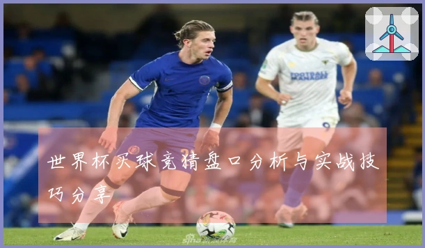 世界杯买球竞猜盘口分析与实战技巧分享