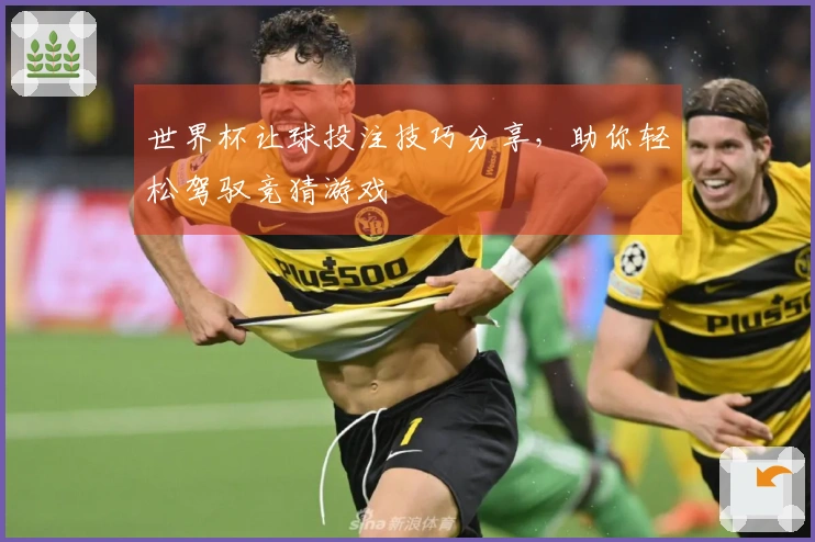世界杯让球投注技巧分享,助你轻松驾驭竞猜游戏